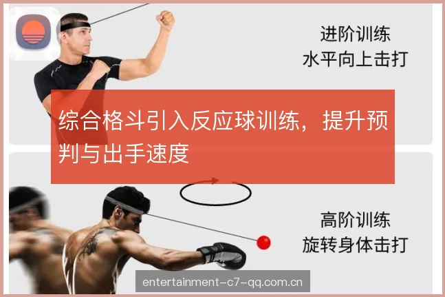 综合格斗引入反应球训练，提升预判与出手速度